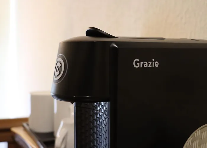 Quartos E Do Patrão Alojamento de Turismo Rural Sabugueiro (Guarda)